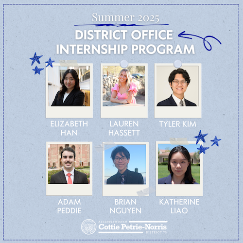 AD73 petrie-norris summer interns
