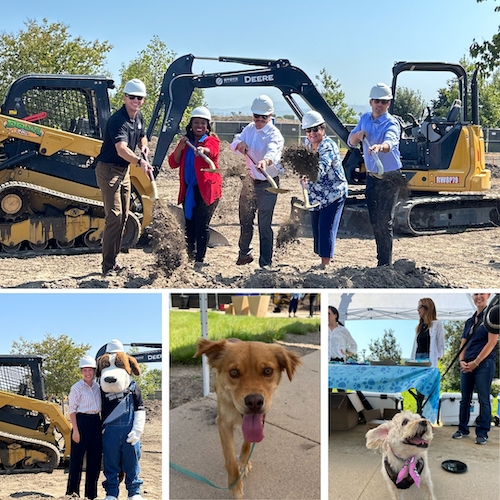 AD73 Bark Barracks Dog Park at Tustin Legacy Park