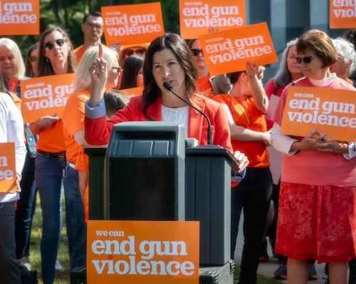 AD73 petrie-norris gun violence