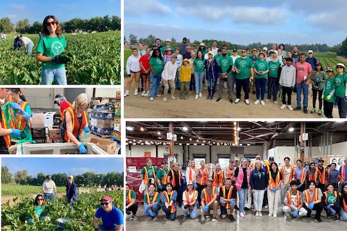 AD73 petrie norris Hunger Action Month