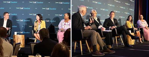 AD73 petrie norris Calchamber ai regulation