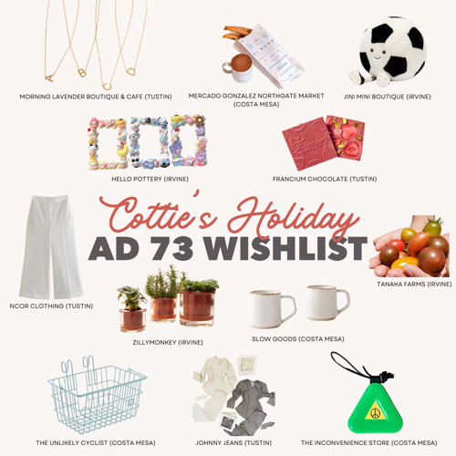 AD73 holiday wishlist