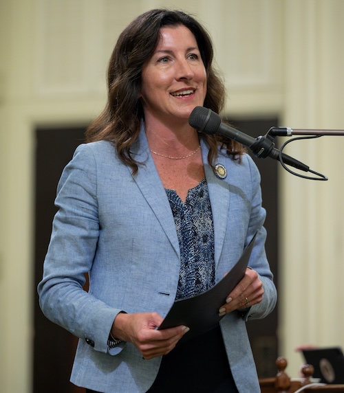 AD73 petrie norris bill package progress