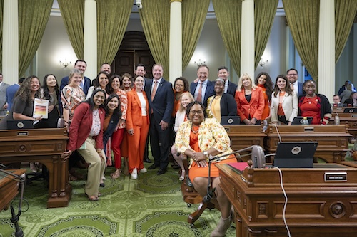 AD73 petrie norris AB451 gun safety bill