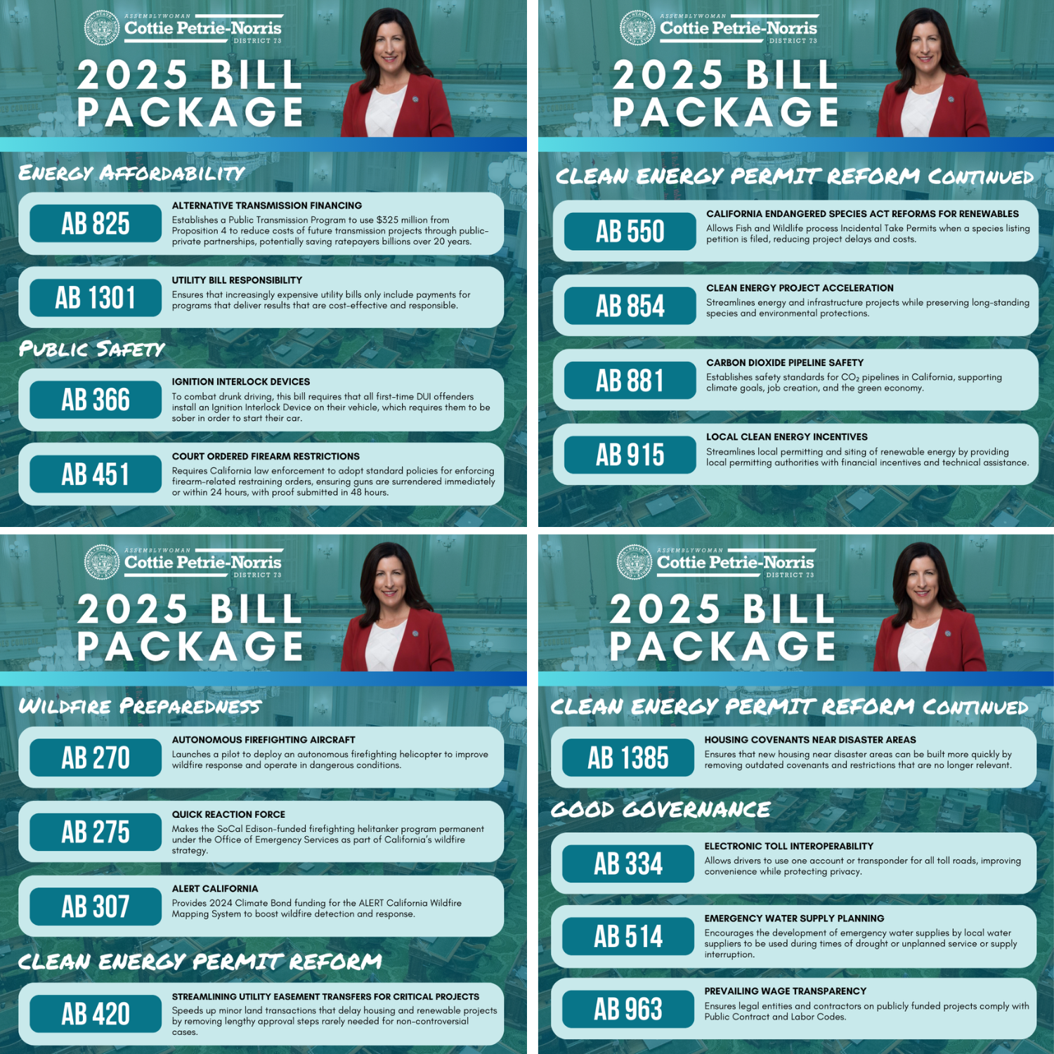 Asm. Petrie-Norris Bill Package Design