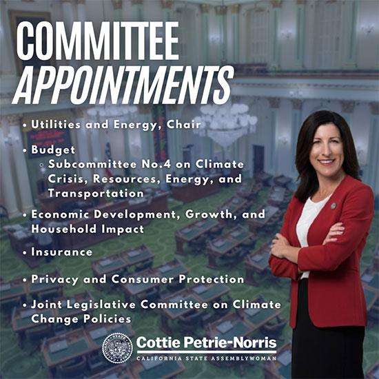 Committee Appointments