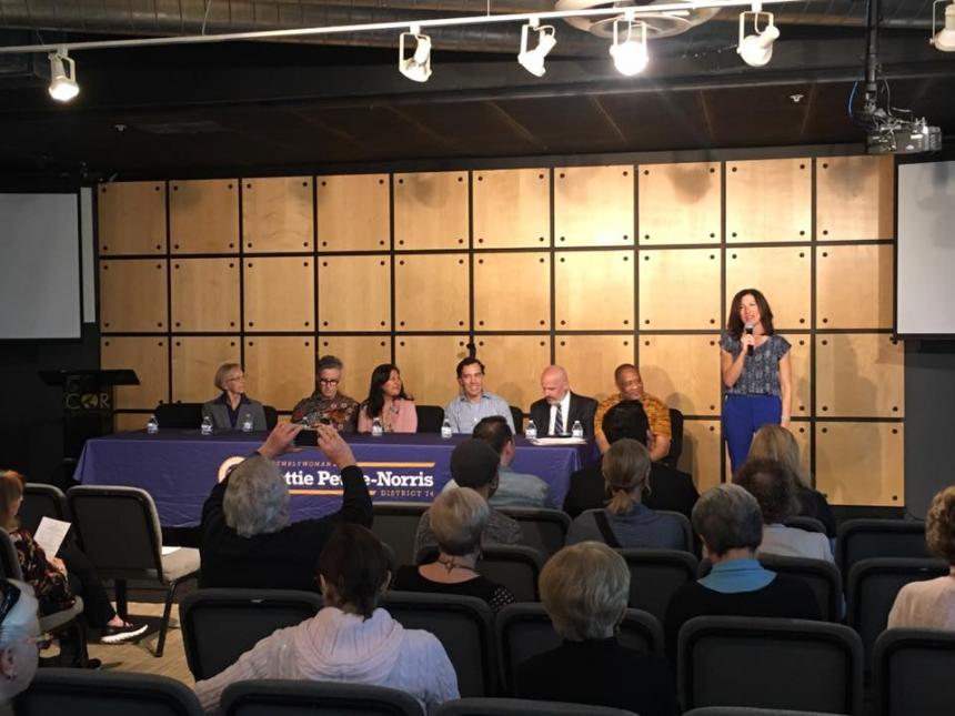 Asm. Petrie-Norris welcomes the panel.