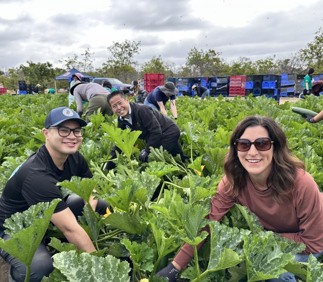 Harvest Solutions Farm
