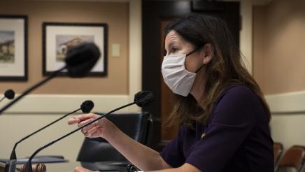 Assemblymember Petrie-Norris Presenting at Select Committee on Small Business