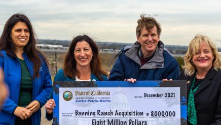 Banning Check Presentation
