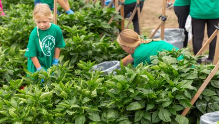 Harvest Solutions Farm Event