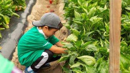 Harvest Solutions Farm Event