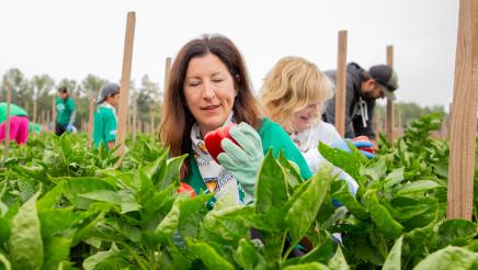 Harvest Solutions Farm Event