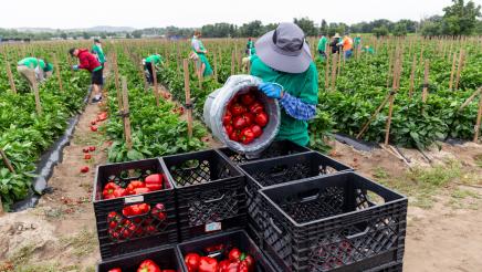 Harvest Solutions Farm Event
