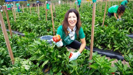 Harvest Solutions Farm Event