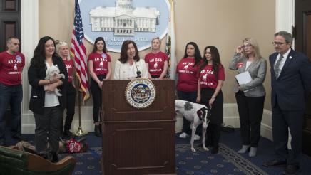 Lennon's Law Dog Blood Storage Event